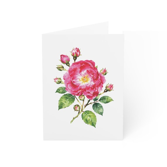 Pink Rose Greeting Card, Magenta Garden Rose Digital Art Print, Botanical Card, Blank Inside for Any Occasion, Bill Shew wall art print