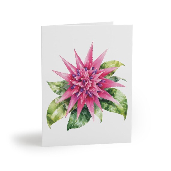 Pink Bromeliad Greeting Card, Watercolor Tropical Flower Card, Botanical Floral Note Card by Bill Shew