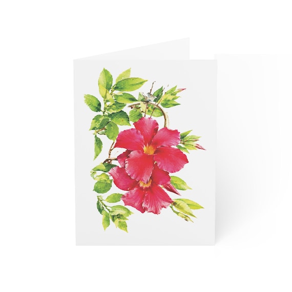 Mandevilla Flower Card, Digital Art Print, Botanical Card, Blank Inside, Bill Shew wall art print