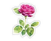 Watercolor Pink Rose Sticker, Botanical Floral Garden Decor by Bill Shew