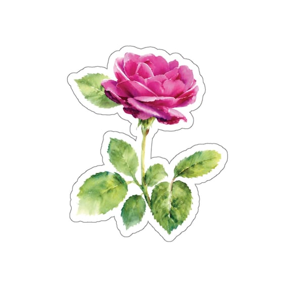 Pink Rose Sticker, Pink Rose Flower Die Cut Sticker, Botanical Floral Sticker by Bill Shew