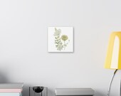 Queen Anne's Lace Botanical Art Classic Stretched Canvas | White Wildflower Wall Decor, alternate view (Bill Shew)