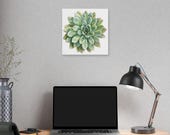 Green Echeveria Succulent Botanical Art Classic Stretched Canvas | Floral Wall Decor, alternate view (Bill Shew)
