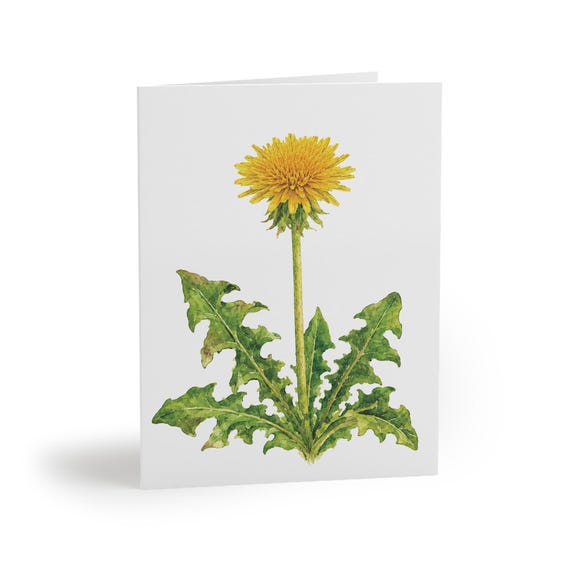 Dandelion Greeting Card, Watercolor Botanical Card, Yellow Dandelion Flower Art by Bill Shew