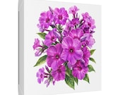 Purple Garden Phlox Botanical Art Classic Stretched Canvas | Floral Wall Decor, framing detail (Bill Shew)