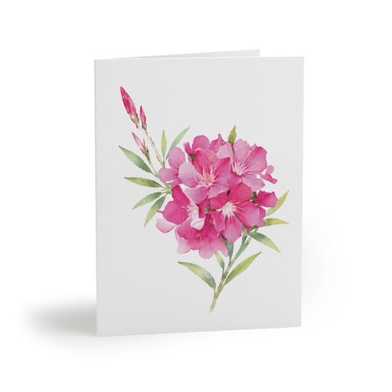 8 cards - Pink Oleander Botanical Watercolor Card by Bill Shew