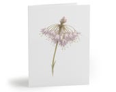Nodding Onion Botanical Watercolor Card – Pink Allium Floral Art (Pack of 8) by Bill Shew