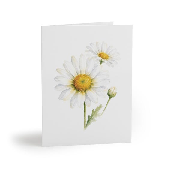 8 cards - Oxeye Daisy Watercolor Greeting Card, White Wildflower Botanical Art by Bill Shew