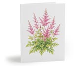8 cards - Pink Astilbe Botanical Greeting Card, Watercolor Floral Art Print (Blank Inside) by Bill Shew