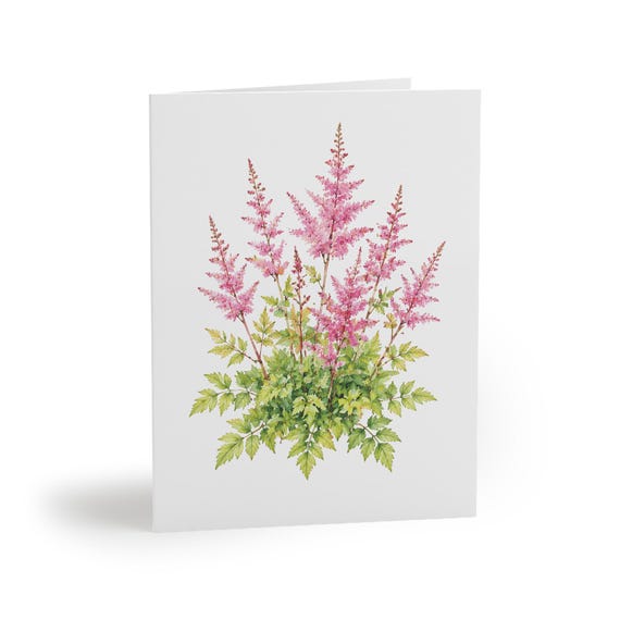 8 cards - Pink Astilbe Botanical Greeting Card, Watercolor Floral Art Print (Blank Inside) by Bill Shew