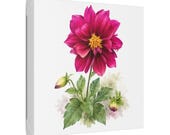 Magenta Dahlia Botanical Art Classic Stretched Canvas | Floral Wall Decor, framing detail (Bill Shew)