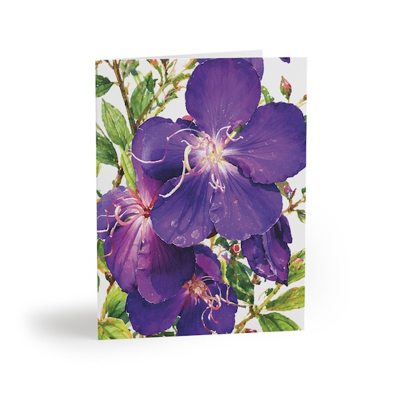 Purple Princess Flower Greeting Card, Botanical Watercolor Floral Illustration (Blank Note Card) Purple Princess Flower Greeting Card by Bill Shew