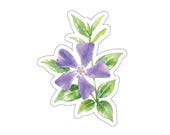Watercolor Periwinkle Flower Sticker, Lavender Botanical Decal by Bill Shew