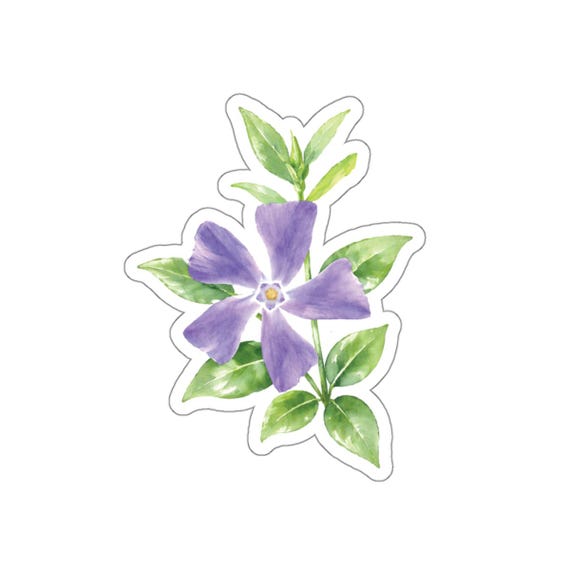 Purple Periwinkle Sticker, Vinca Flower Sticker, Lavender Botanical Sticker by Bill Shew