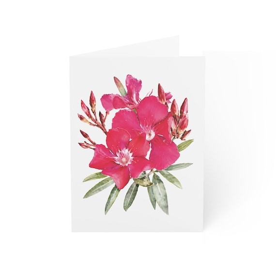 Desert Rose Greeting Card, Digital Art Print, Botanical Card, Blank Inside, Bill Shew wall art print
