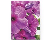 Wild Phlox Hardcover Journal | Purple Floral Notebook, Lined Pages (150), alternate view (Bill Shew)