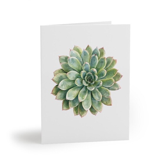8 cards - Echeveria Succulent Greeting Card, Green Rosette Botanical Watercolor by Bill Shew