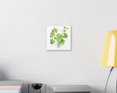 Green Clover Botanical Art Classic Stretched Canvas | Lucky Clover Wall Decor, alternate view (Bill Shew)