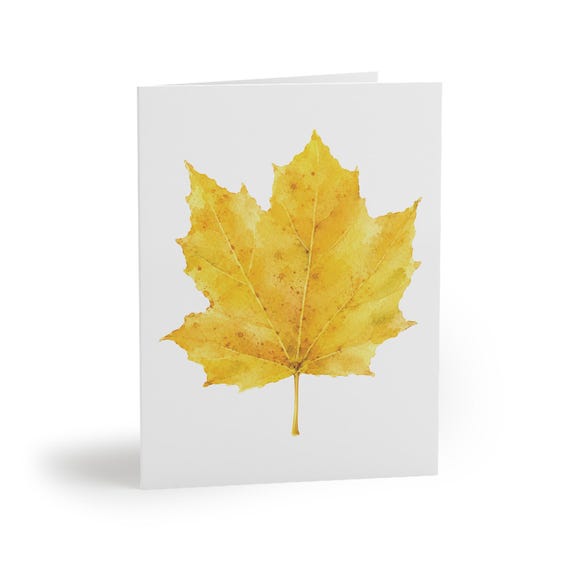 Golden Maple Leaf Greeting Card, Watercolor Fall Card, Yellow Maple Leaf Botanical Art by Bill Shew