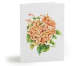 8 cards - Peach Ixora Botanical Watercolor Greeting Card, Coral Floral Illustration by Bill Shew