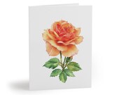 8 cards - Peach Coral Rose Botanical Watercolor Greeting Card, Single Bloom Note Card by Bill Shew