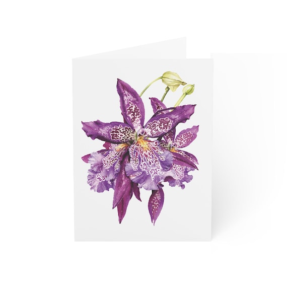 Purple Speckled Orchid Card, Digital Art Print, Botanical Card, Blank Inside, Bill Shew wall art print