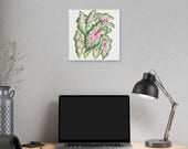 Pink Caladium Botanical Art Classic Stretched Canvas | Botanical Wall Decor, alternate view (Bill Shew)