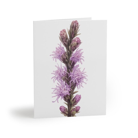 Blazing Star Watercolor Greeting Card, Purple Liatris Botanical Art Blazing Star Watercolor Greeting Card, Purple Liatris Botanical Art by Bill Shew