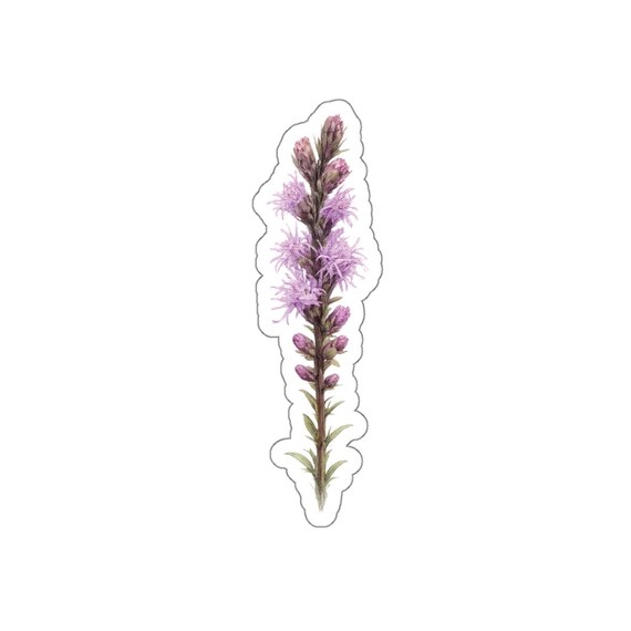 Purple Liatris Sticker, Blazing Star Flower Sticker, Botanical Die Cut Sticker by Bill Shew