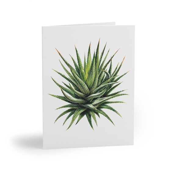 8 cards - Zebra Haworthia Watercolor Greeting Card, Haworthiopsis Attenuata Botanical Art by Bill Shew