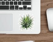 Zebra Haworthia Succulent Sticker, Botanical Die Cut, detail view (Bill Shew)