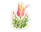Tulip Sticker, Pink Yellow Tulip Die Cut Sticker, Watercolor Flower Sticker by Bill Shew