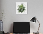 Zebra Haworthia Succulent Botanical Art Classic Stretched Canvas | Plant Wall Decor, alternate view (Bill Shew)