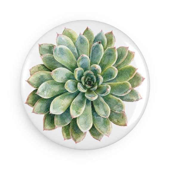 Succulent Magnet, Echeveria Magnet, Watercolor Plant Magnet, Botanical Fridge Magnet by Bill Shew