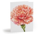 Peach Carnation Watercolor Greeting Card, Botanical Floral Art (Blank Card) by Bill Shew