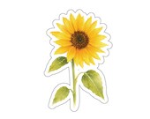 Botanical Sunflower Sticker, Yellow Floral Garden Design by Bill Shew
