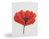 Watercolor Red Poppy Greeting Card, Botanical Flower Art (Pack of 8, 16, or 24) by Bill Shew