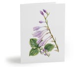 Lavender Hosta Watercolor Greeting Cards – Botanical Purple Blooms (8 Pack) by Bill Shew
