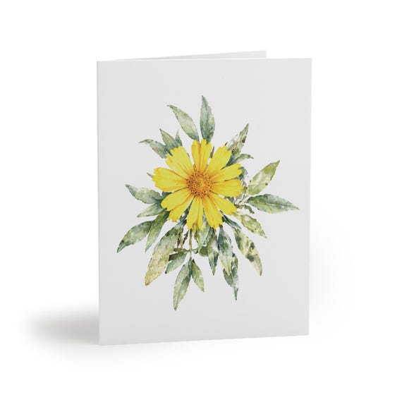 8 cards - Yellow Coreopsis Greeting Card, Lanceleaf Coreopsis Botanical Watercolor by Bill Shew