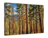 Golden Hour Pine Forest Canvas Print, Textured Mountain Wall Art, Sunlit Trees Decor, close-up (Bill Shew)