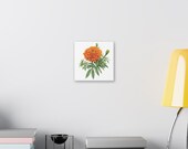 Orange Marigold Botanical Art Classic Stretched Canvas | Floral Garden Wall Decor, alternate view (Bill Shew)