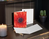 Red Poppy Watercolor Greeting Card, Botanical Floral Art (Pack of 8, 16, or 24), alternate view (Bill Shew)