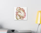 Pink White Caladium Botanical Watercolor Classic Stretched Canvas | Botanical Wall Decor, detail view (Bill Shew)
