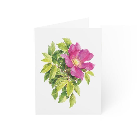 Cape Rose Greeting Card, Digital Art Print, Botanical Card, Blank Inside for Any Occasion, Bill Shew wall art print