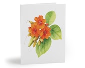 8 cards - Orange Sea Hibiscus Watercolor Card, Tropical Floral Botanical Art Note by Bill Shew