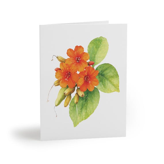 8 cards - Orange Sea Hibiscus Watercolor Card, Tropical Floral Botanical Art Note by Bill Shew