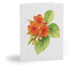 8 cards - Orange Sea Hibiscus Watercolor Card, Tropical Floral Botanical Art Note by Bill Shew