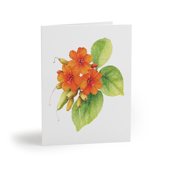 8 cards - Orange Sea Hibiscus Watercolor Card, Tropical Floral Botanical Art Note 8 cards - Orange Sea Hibiscus Watercolor Card, Tropical Floral Botanical Art Note by Bill Shew