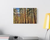 Golden Hour Pine Forest Canvas Print, Textured Mountain Wall Art, Sunlit Trees Decor, alternate view (Bill Shew)