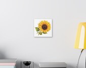 Golden Sunflower Botanical Art Classic Stretched Canvas | Floral Wall Decor, alternate view (Bill Shew)